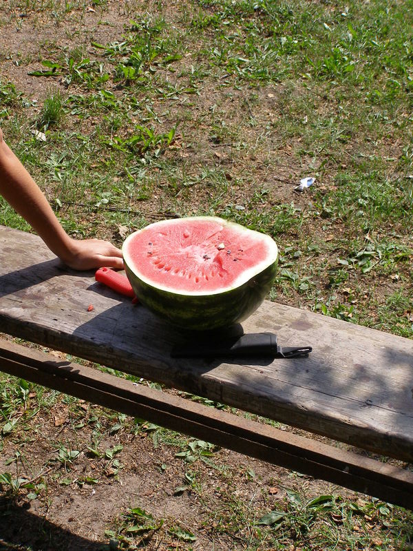 p8120120.jpg