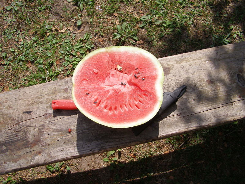 p8120131.jpg