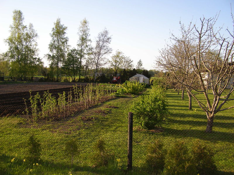 p5200010.jpg
