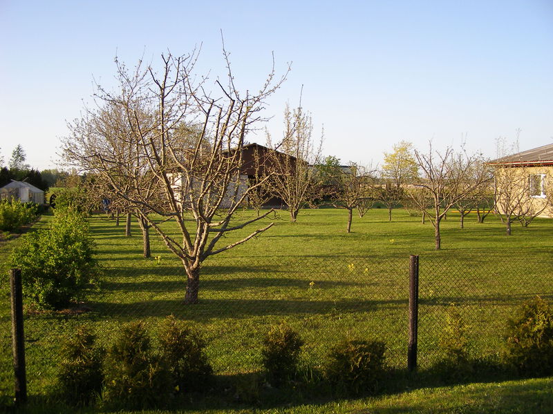 p5200011.jpg
