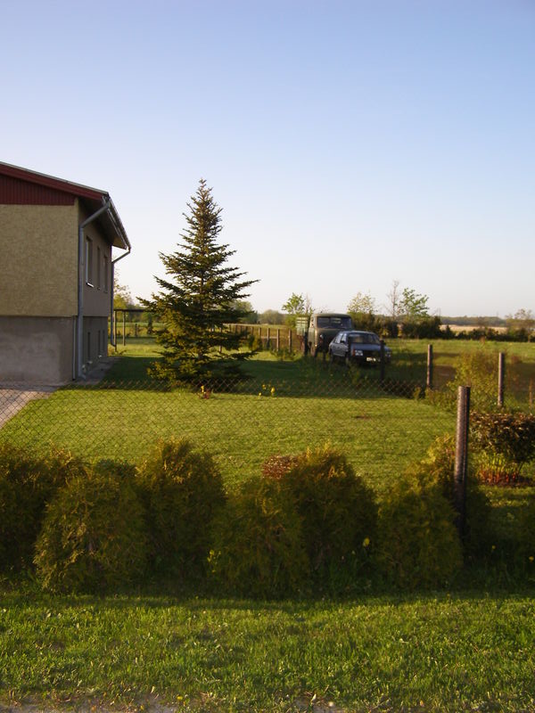 p5200014.jpg
