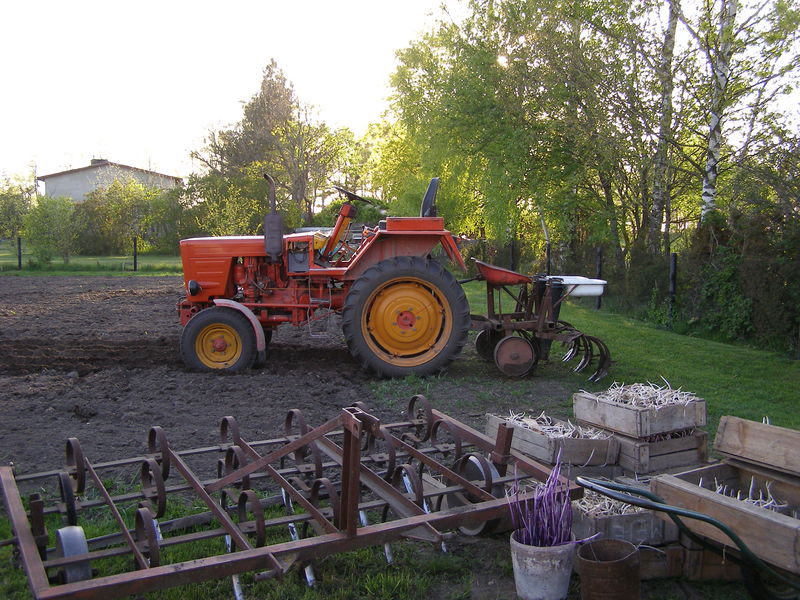 p5200020.jpg