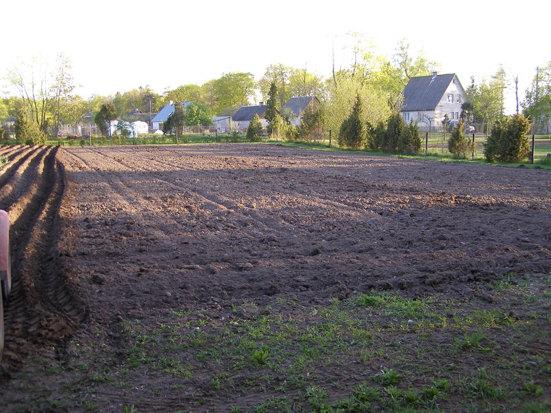 p5200021.jpg
