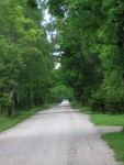 20050815232113889.jpg