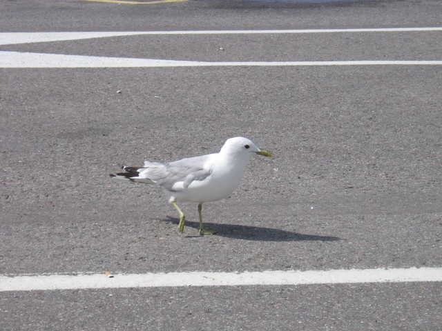 20050815232921895.jpg