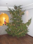 IMG_0732.JPG